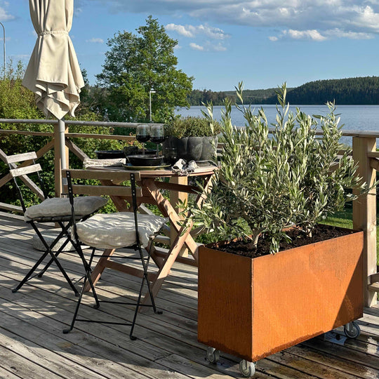Pflanzkasten mit Rädern